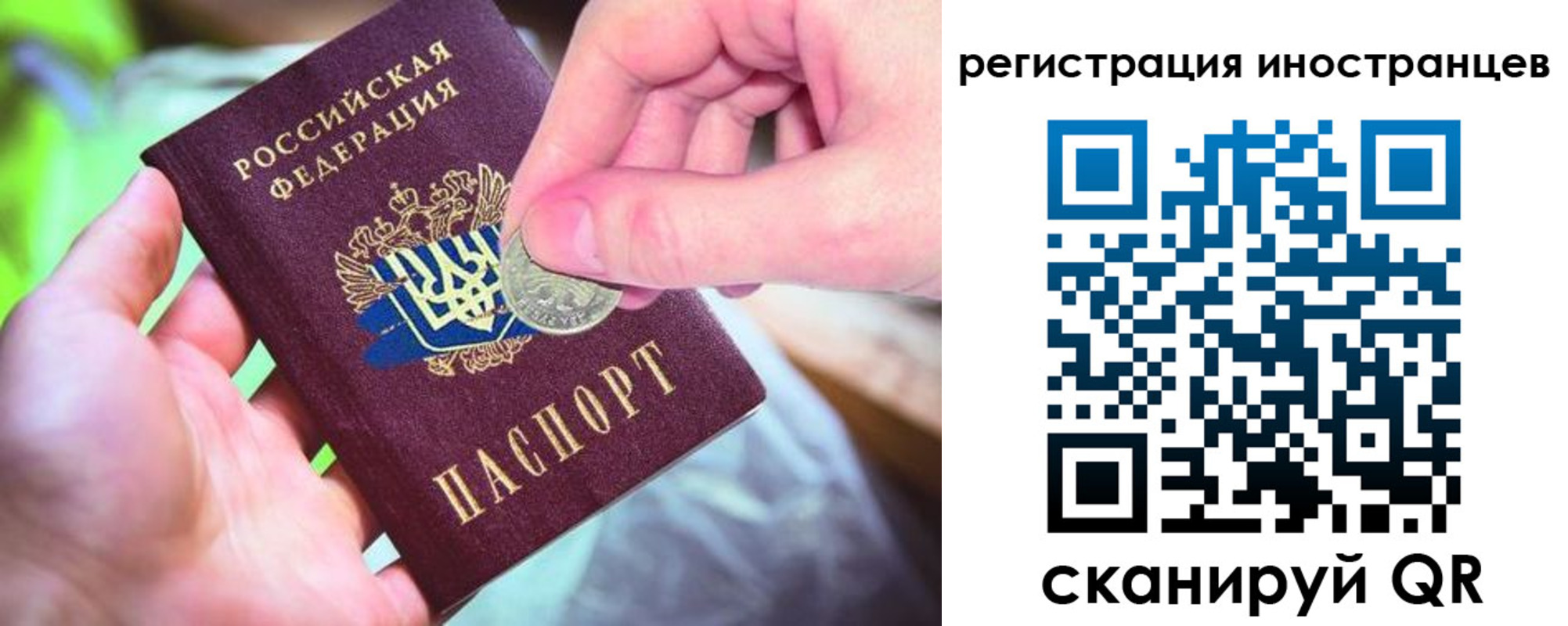прописка для работы в Щиграх